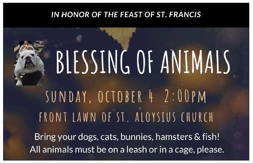 Blessing of Animals 26